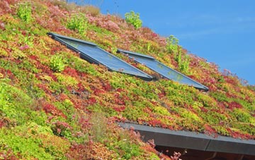 Winterbrook living roof systems